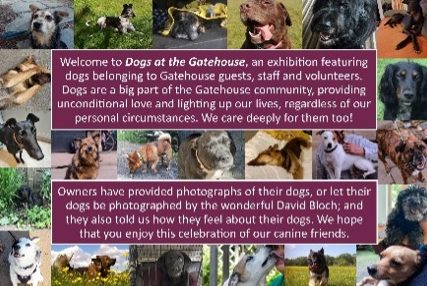 Dogs at the Gatehouse exhibition